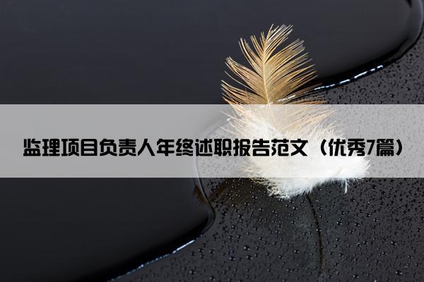 监理项目负责人年终述职报告范文（优秀7篇）