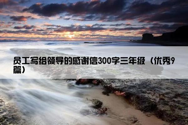 员工写给领导的感谢信300字三年级（优秀9篇）