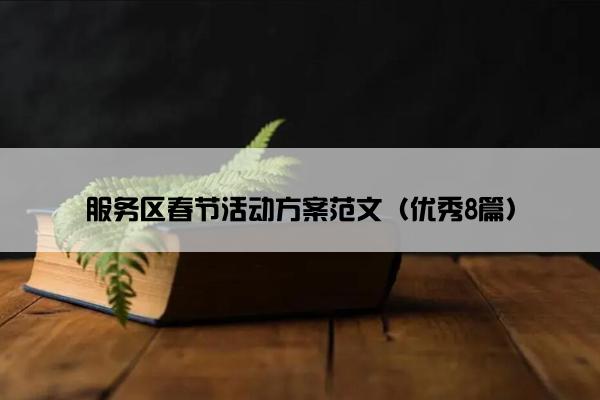 服务区春节活动方案范文（优秀8篇）