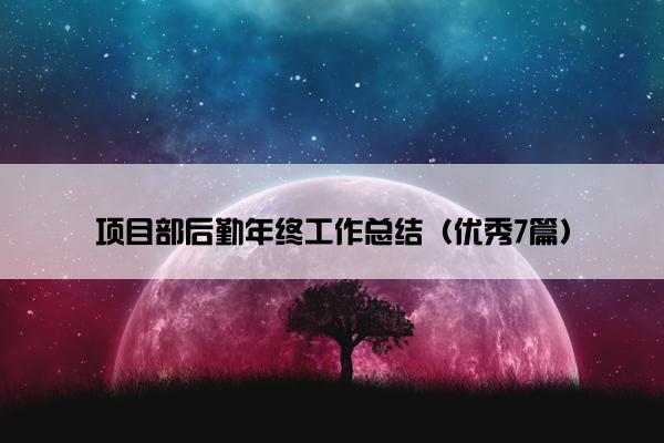 项目部后勤年终工作总结（优秀7篇）
