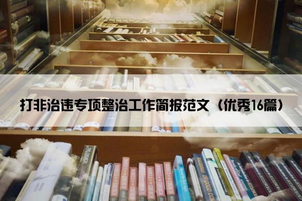 打非治违专项整治工作简报范文（优秀16篇）