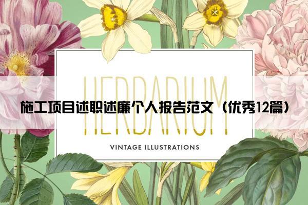 施工项目述职述廉个人报告范文（优秀12篇）