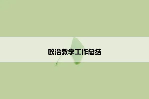 政治教学工作总结