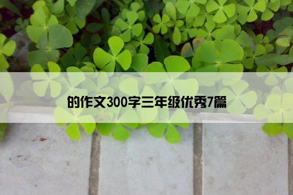 的作文300字三年级优秀7篇