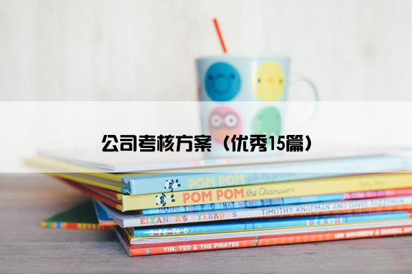 公司考核方案（优秀15篇）