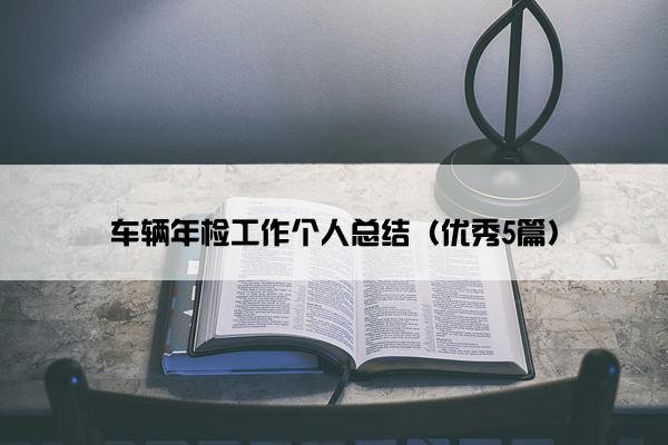 车辆年检工作个人总结（优秀5篇）