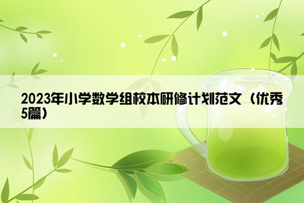 2023年小学数学组校本研修计划范文（优秀5篇）
