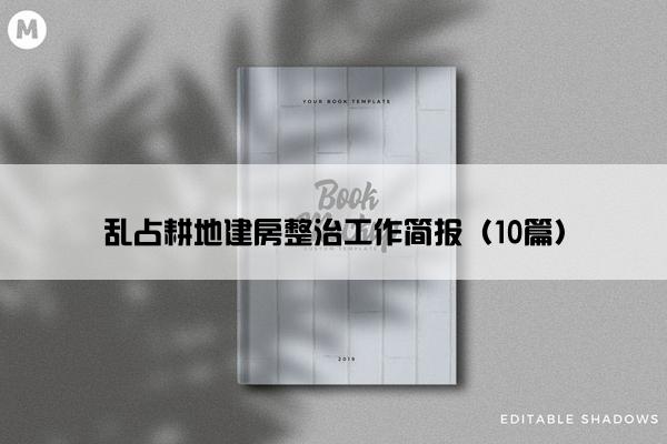 乱占耕地建房整治工作简报（10篇）