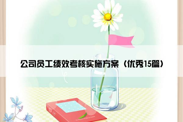 公司员工绩效考核实施方案（优秀15篇）
