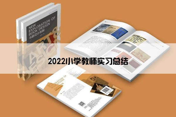 2022小学教师实习总结