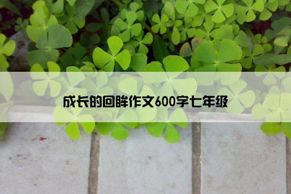 成长的回眸作文600字七年级