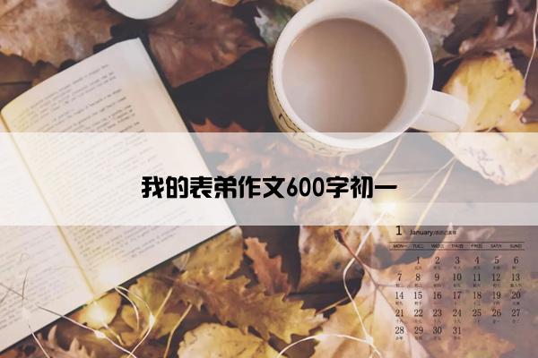 我的表弟作文600字初一
