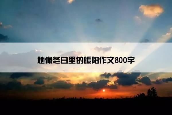 她像冬日里的暖阳作文800字