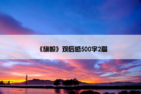 《旗帜》观后感500字2篇