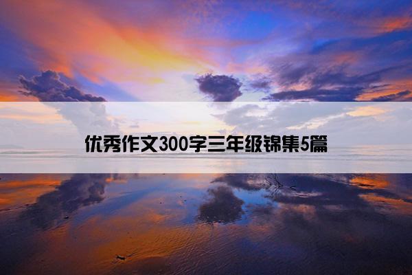 优秀作文300字三年级锦集5篇