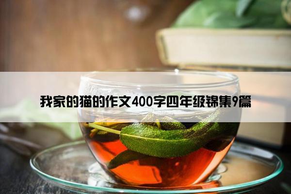 我家的猫的作文400字四年级锦集9篇