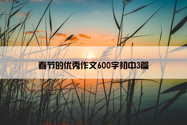 春节的优秀作文600字初中3篇