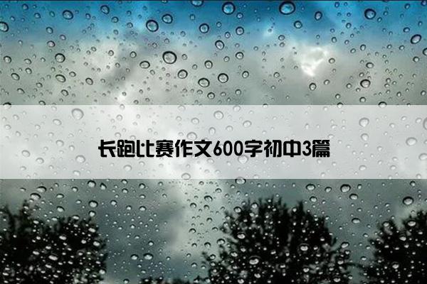 长跑比赛作文600字初中3篇