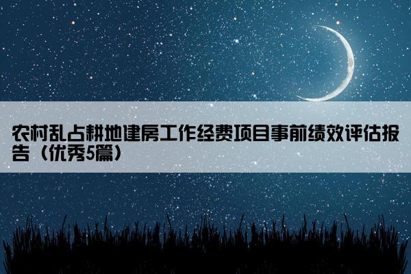 农村乱占耕地建房工作经费项目事前绩效评估报告（优秀5篇）