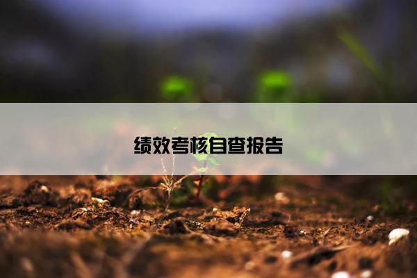 绩效考核自查报告