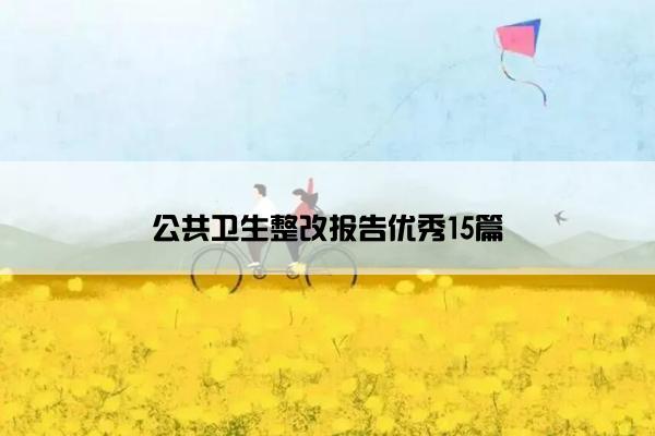 公共卫生整改报告优秀15篇