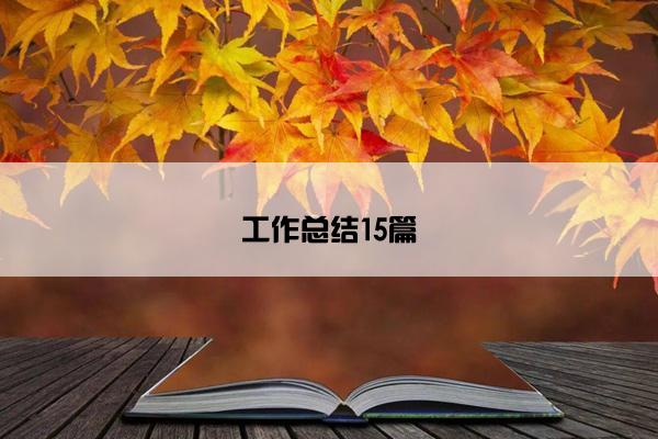 工作总结15篇