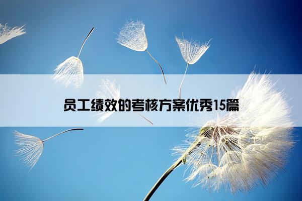 员工绩效的考核方案优秀15篇