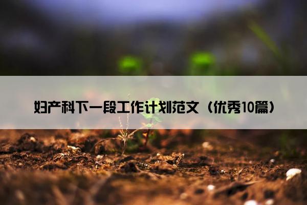 妇产科下一段工作计划范文（优秀10篇）