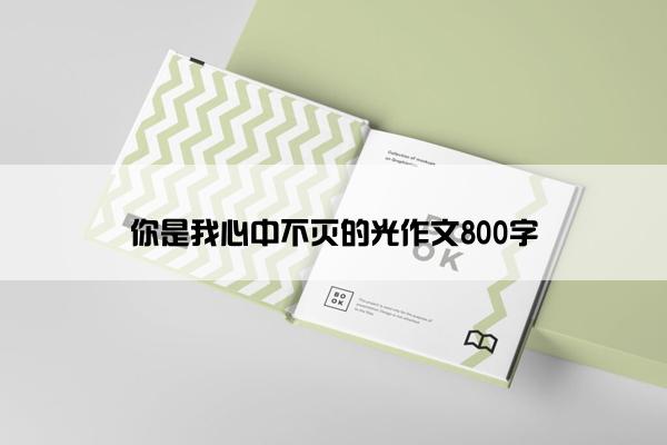 你是我心中不灭的光作文800字