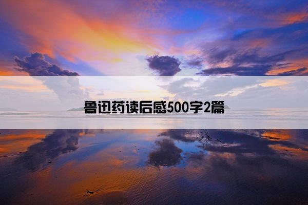 鲁迅药读后感500字2篇