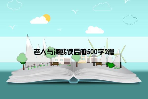 老人与海鸥读后感500字2篇