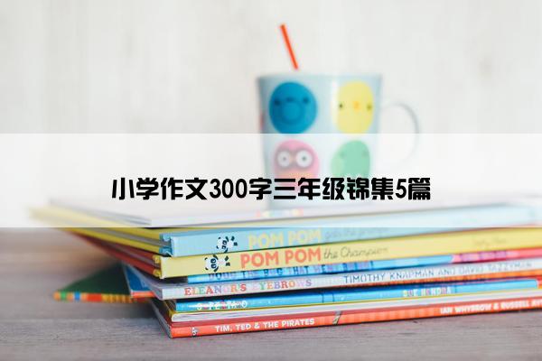 小学作文300字三年级锦集5篇