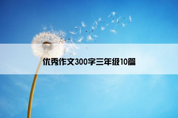 优秀作文300字三年级10篇