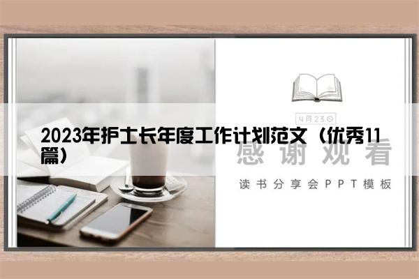 2023年护士长年度工作计划范文（优秀11篇）