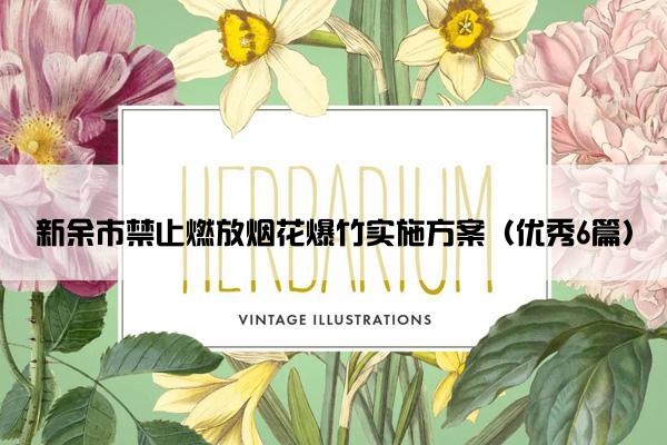 新余市禁止燃放烟花爆竹实施方案（优秀6篇）