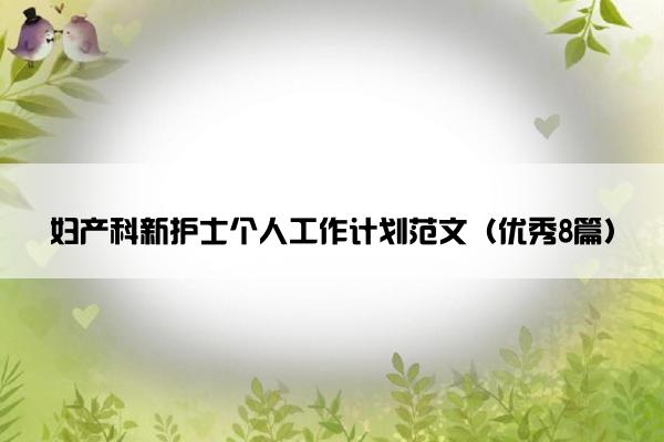 妇产科新护士个人工作计划范文（优秀8篇）