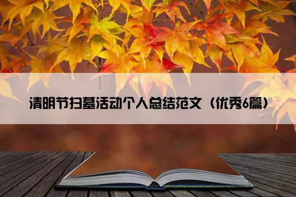 清明节扫墓活动个人总结范文（优秀6篇）