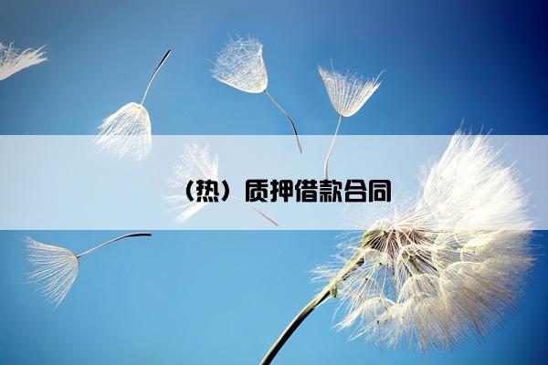 （热）质押借款合同