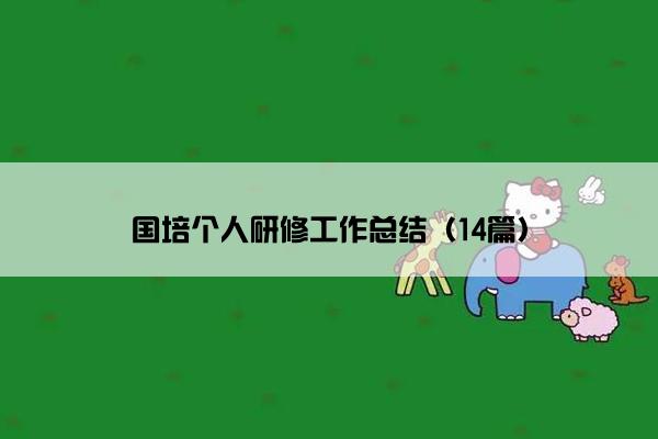国培个人研修工作总结（14篇）