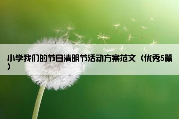 小学我们的节日清明节活动方案范文（优秀5篇）