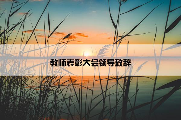 教师表彰大会领导致辞