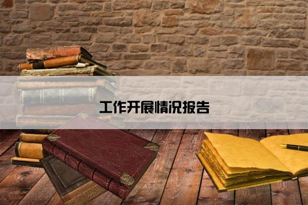 工作开展情况报告