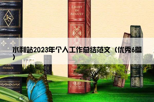 水利站2023年个人工作总结范文（优秀6篇）