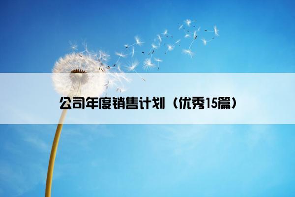 公司年度销售计划（优秀15篇）