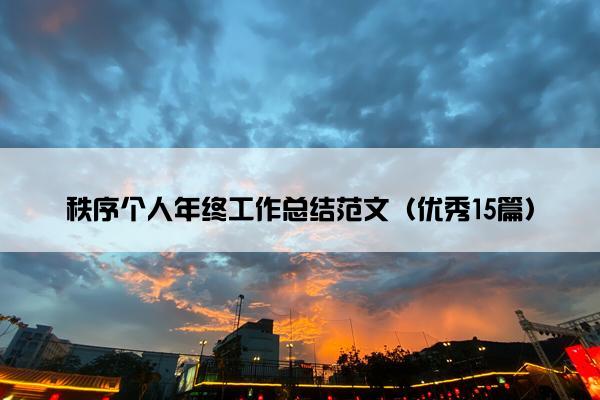 秩序个人年终工作总结范文（优秀15篇）