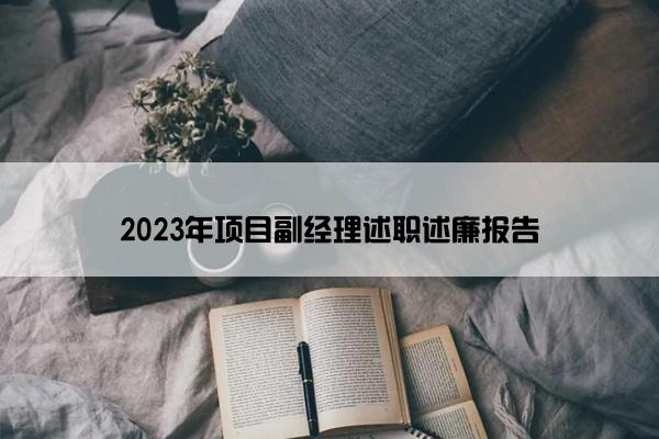 2023年项目副经理述职述廉报告