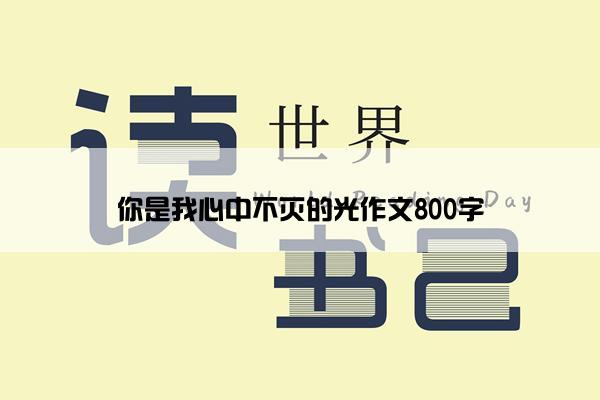 你是我心中不灭的光作文800字