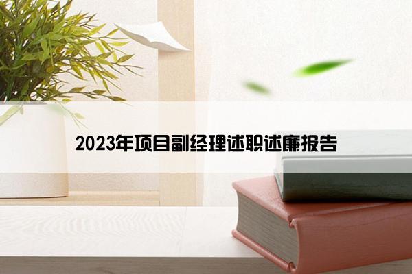 2023年项目副经理述职述廉报告