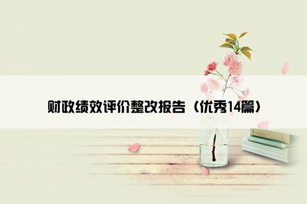 财政绩效评价整改报告（优秀14篇）