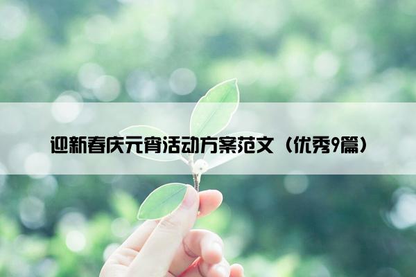 迎新春庆元宵活动方案范文（优秀9篇）
